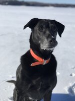 IMG_5243.jpeg IMG_5243.jpeg