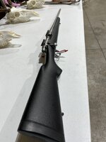 IMG_1004.jpeg