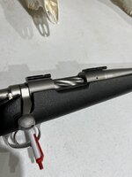 IMG_1005.jpeg