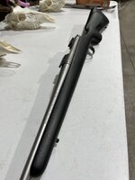 IMG_1009.jpeg