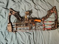 IMG_20241218_210657858.jpg