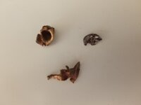 20201213_112102.jpg