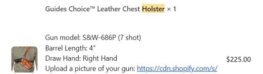 holster 2.JPG