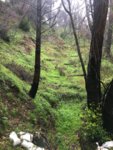 197C9768-08BD-4AED-B264-3121B7BA3804.jpeg