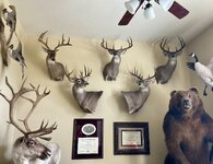 Deer Mounts - Ryan.jpg