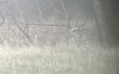 IMG_7450.jpeg