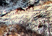 IMG_7427.jpeg