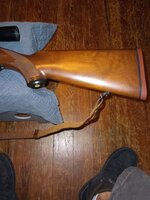 Ruger M77 .270 4.jpg