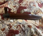 IMG_7273.jpeg