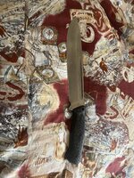 IMG_7276.jpeg
