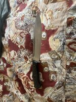 IMG_7277.jpeg