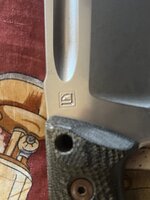 IMG_7278.jpeg