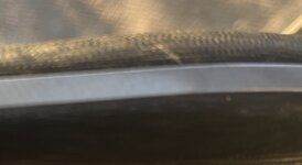 IMG_7281.jpeg