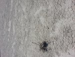 20140822_162927.jpg