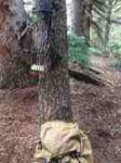 ImageUploadedByTapatalk1409515240.746303.jpg