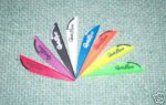 Vanes.JPG