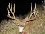 Jeff's Buck 029.jpg