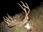 Jeff's Buck 036.jpg