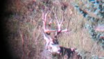 Hunting 2013 040.jpg