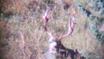 Hunting 2013 041.jpg