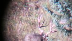 Hunting 2013 042.jpg