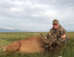 elk 2019.JPG