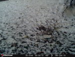 829984AC-8E55-4BCD-88BF-B8A3D3DFF832.jpeg