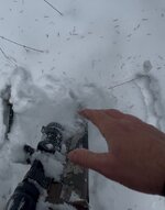 IMG_4504.jpeg