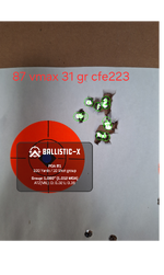 Ballistic-X-Export-2025-01-26 15_09_53.583224.png