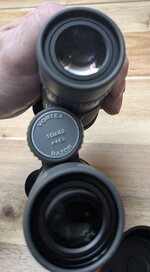 PXL_20250127_231819973.jpg