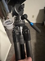 IMG_9782.jpeg