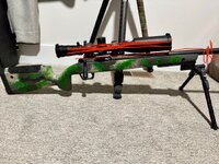 IMG_4486.jpeg