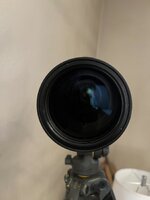 IMG_0956.jpg