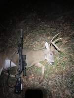 IMG_2973.jpeg