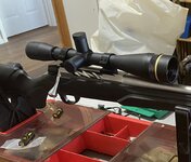 IMG_5514.jpeg IMG_5514.jpeg