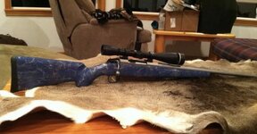 IMG_2234.jpeg IMG_2234.jpeg