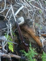 IMG_0605.jpeg IMG_0605.jpeg