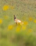 20180830_203804.jpg
