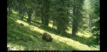 Screenshot_20190717-095654_Video Player.jpg