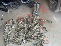IMG_9107.jpeg