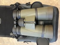 IMG_1510.jpeg