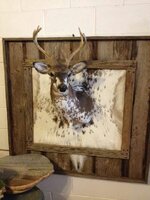 33ff58c64c74cadde30fe215fb8611e5--deer-skull-mounts-ideas-deer-skull-decor.jpg