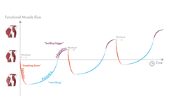 1740151074902.png 1740151074902.png