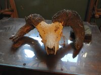 DSCN5277.JPG DSCN5277.JPG