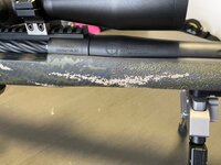 IMG_4784.jpeg