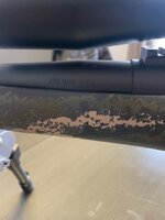 IMG_4785.jpeg