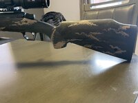 IMG_4786.jpeg