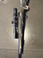 IMG_4787.jpeg