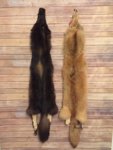 pelts-1125x1500.jpg