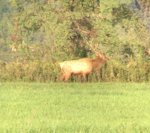 IMG_0214.jpg IMG_0214.jpg